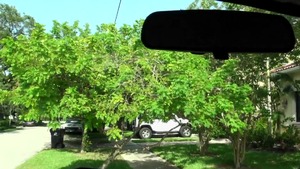 StreetBlowjobs: Brunette Mandi Myers masturbation