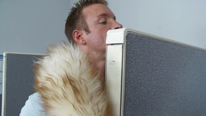 Brazzers: Deceptive Noises in the Office